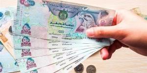 سعر الدرهم الإماراتي اليوم الخميس 16-1-2025 في البنك المركزي المصري