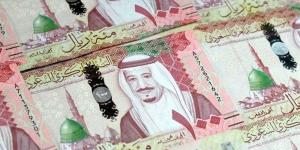 سعر الريال السعودي اليوم السبت 18-1-2025 في البنك المركزي المصري