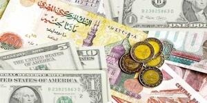 استقرار سعر الدولار أمام الجنيه المصري اليوم السبت 18 يناير 2025