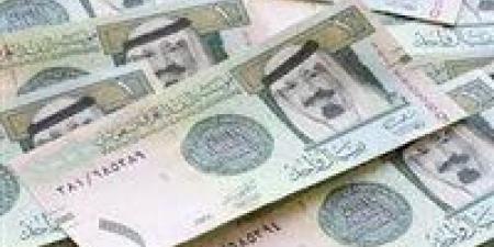 سعر الريال السعودي مقابل الجنيه المصري اليوم الأحد 19 يناير 2025