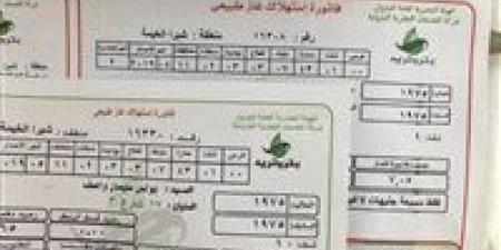 طريقة سريعة| خطوات تسجيل قراءة عداد الغاز وسداد الفاتورة