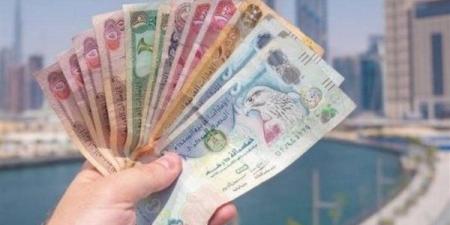 سعر الدرهم الإماراتي أمام الجنيه المصري في تعاملات اليوم الجمعة 24-1-2025