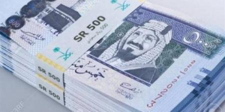 سعر الريال السعودي أمام الجنيه المصري في تعاملات اليوم السبت 25-1-2025