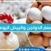 اسعار الدواجن اليوم الثلاثاء 21-1-2025 في الدقهلية