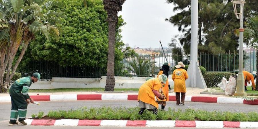 لوائح "عمال الإنعاش" تخضع للافتحاص في مجموعة من الجماعات