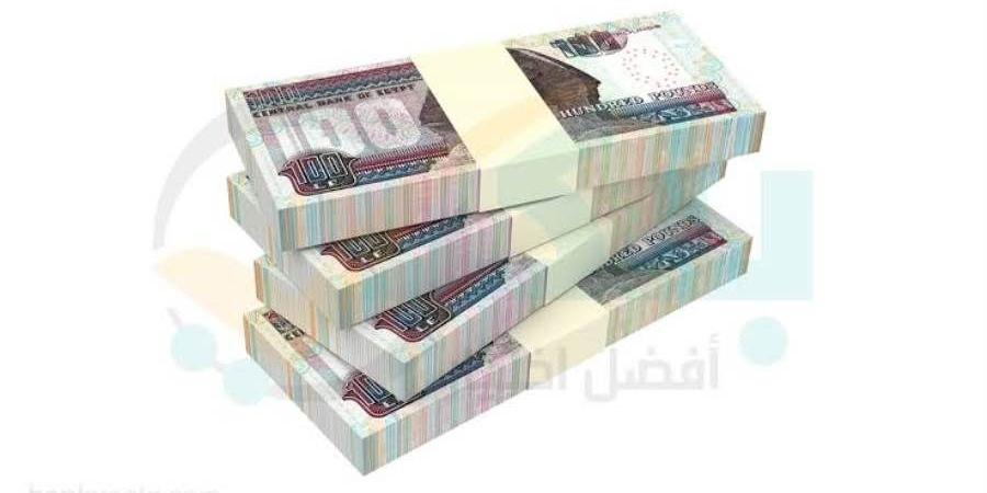 19.569 مليار جنيه زيادة في شهادات الادخار بـ QNB مصر بنهاية ديسمبر 2024