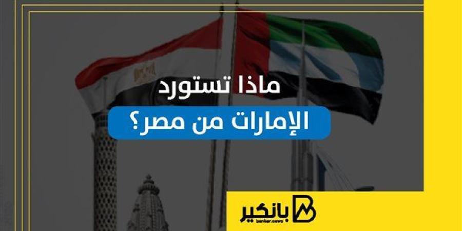 ماذا تستورد الإمارات من مصر؟ | إنفوجراف