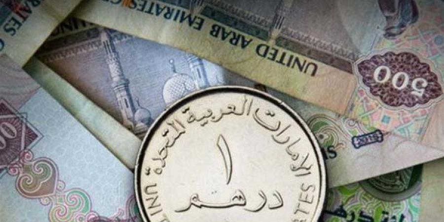 سعر الدرهم الإماراتي أمام الجنيه المصري في تعاملات اليوم الخميس 16-1-2025