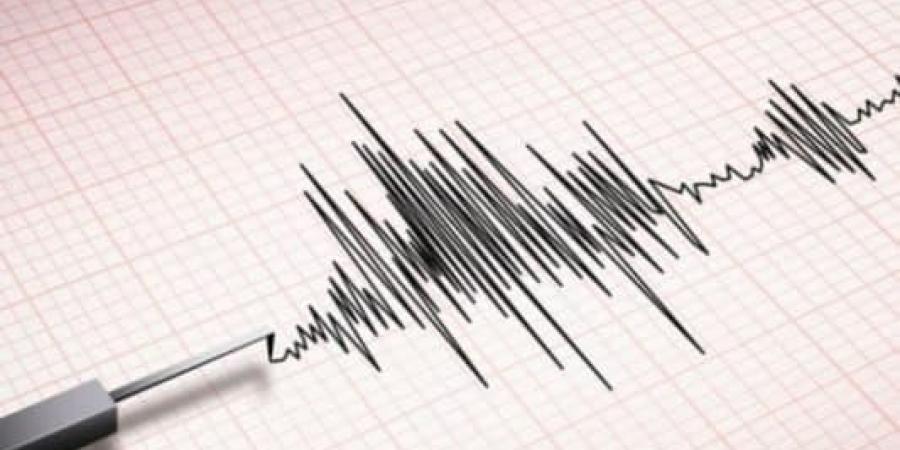 زلزال بقوة 4، 7 درجة يضرب محافظة بوشهر الإيرانية على عمق 5 كيلومترات.. ماذا يحدث د؟