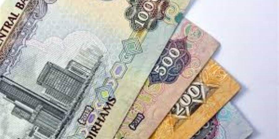 سعر الدرهم الإماراتي اليوم الأحد 19-1-2025 في البنوك