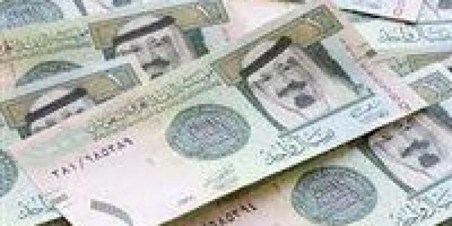 سعر الريال السعودي مقابل الجنيه المصري اليوم الأحد 19 يناير 2025