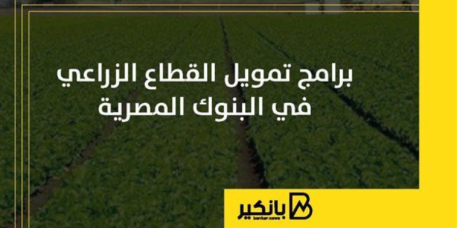 برامج تمويل القطاع الزراعي في البنوك المصرية | إنفوجراف