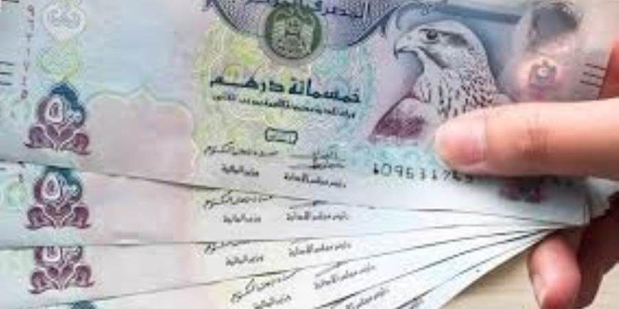 سعر الدرهم الإماراتي اليوم الإثنين 20-1-2025 في البنوك