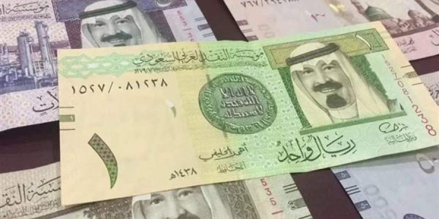 سعر الريال السعودي اليوم الثلاثاء 21-1-2025 في البنك المركزي المصري