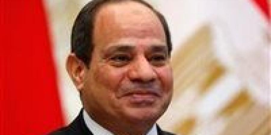 الرئيس السيسي: مصر ستدفع بقوة لتنفيذ اتفاق وقف إطلاق النار بغزة