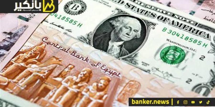 "فيتش" تكشف توقعاتها لسعر الدولار مقابل الجنيه المصري في 2025