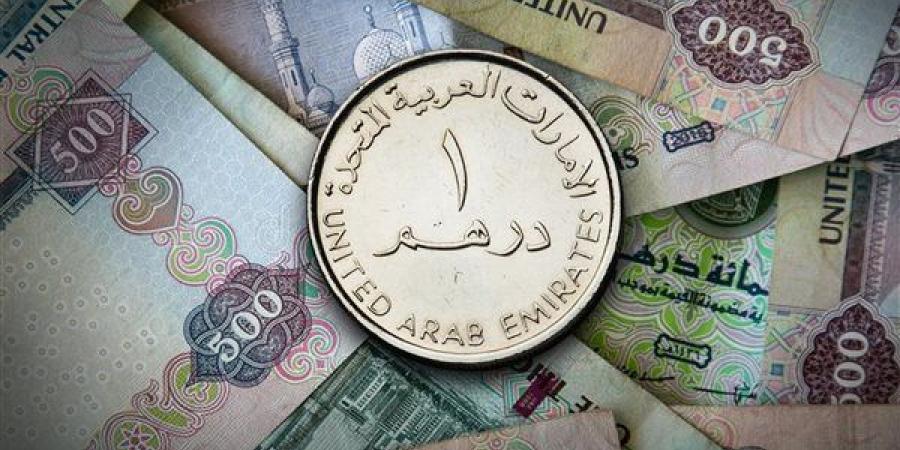 سعر الدرهم الإماراتي اليوم الخميس 23-1-2025 في البنك المركزي المصري