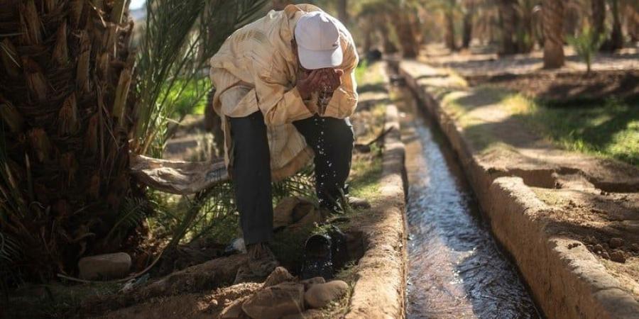 دعم تحويل ضخ مياه الري إلى الطاقة الشمسية يحقق مكاسب بيئية واقتصادية